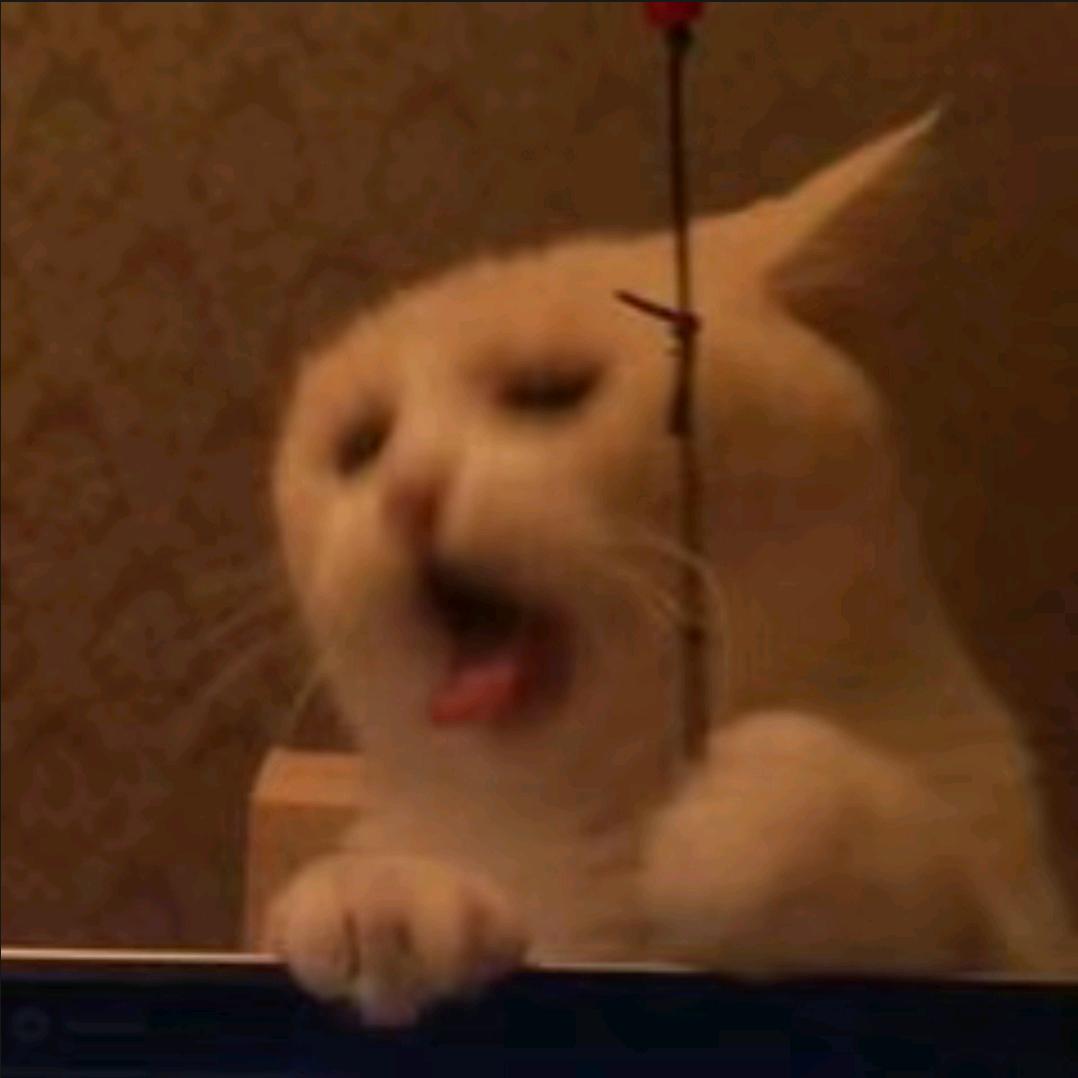 AAA恋语临空市薯片保镖