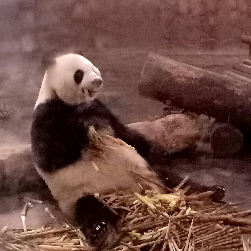 岁月静好♥