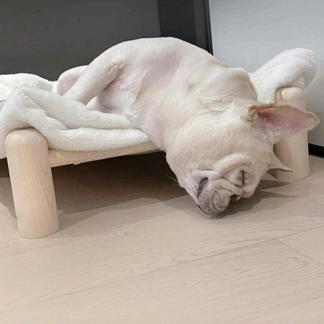 小王不是小王☀️