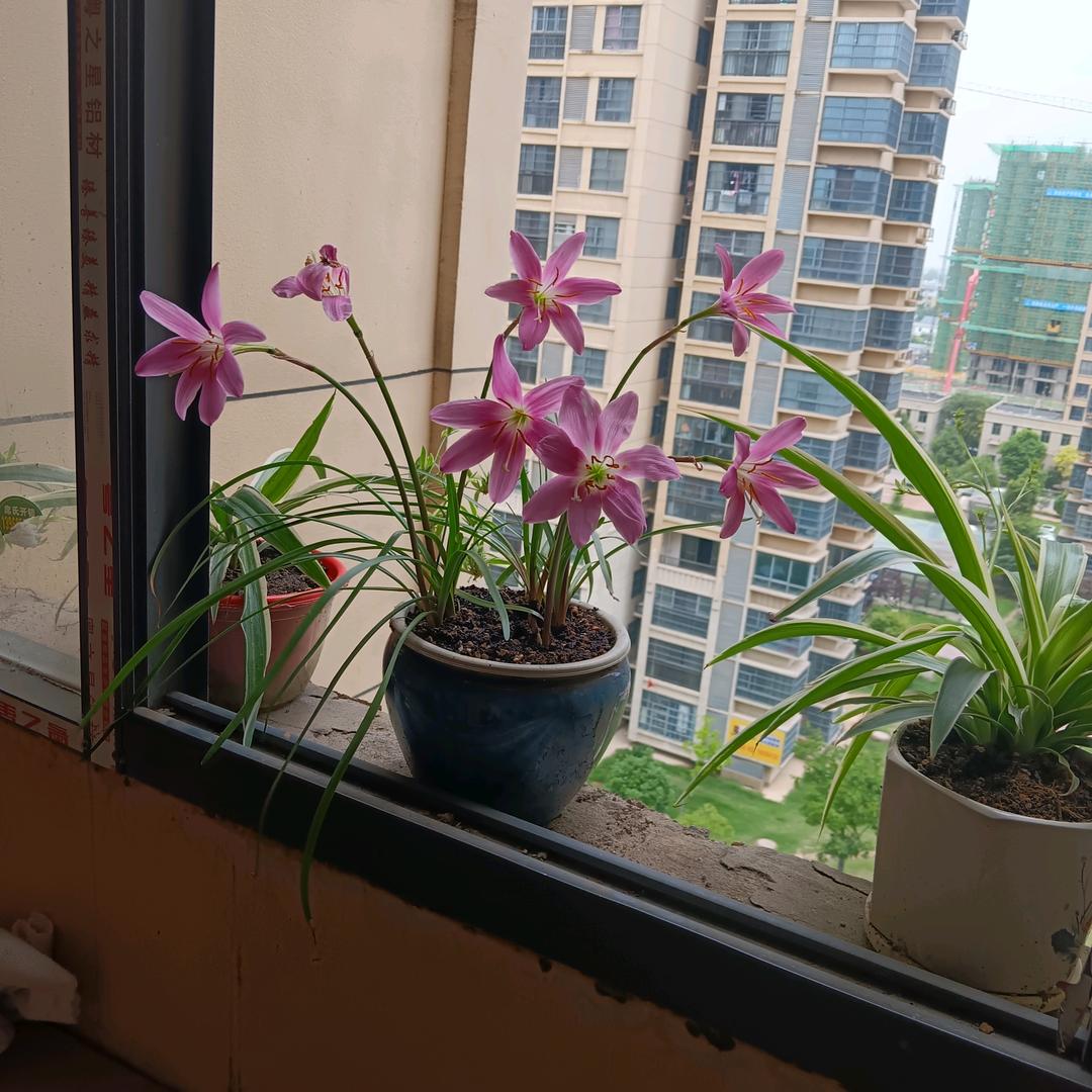 勤勤玩具加工厂