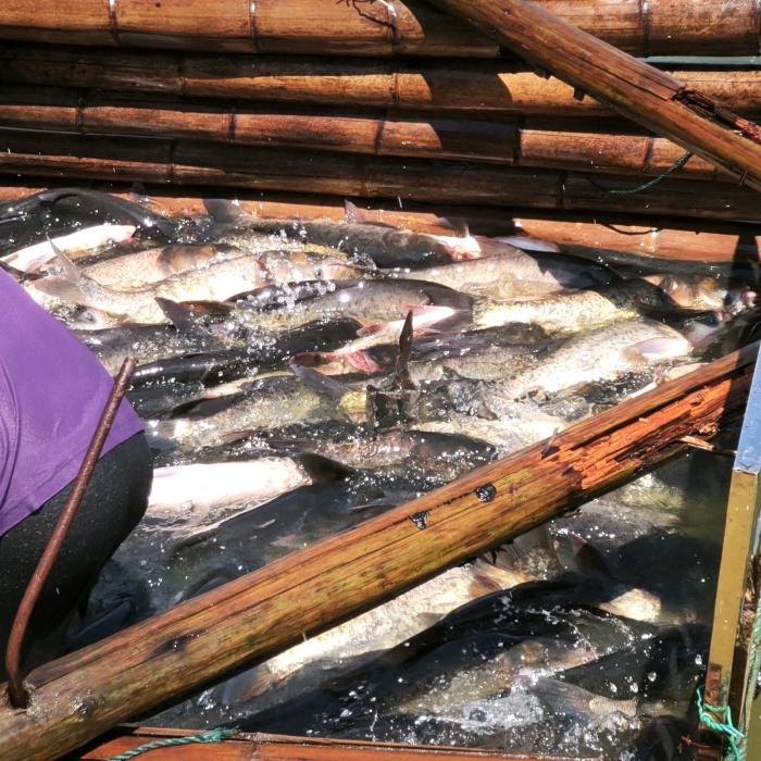 我和水库的那些事