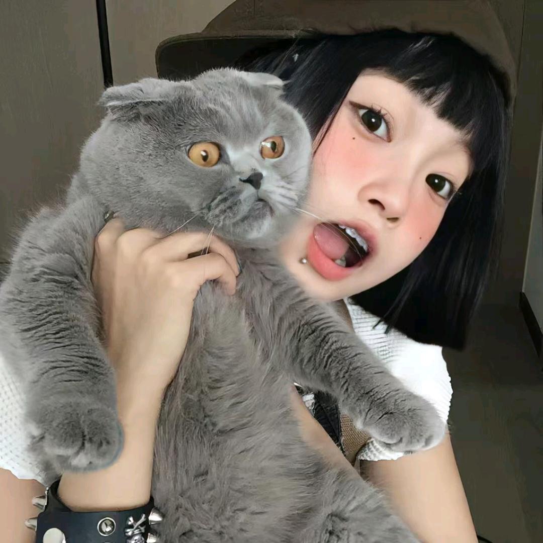 公主An