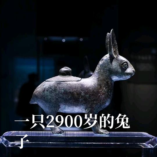 ོ自由，随风
