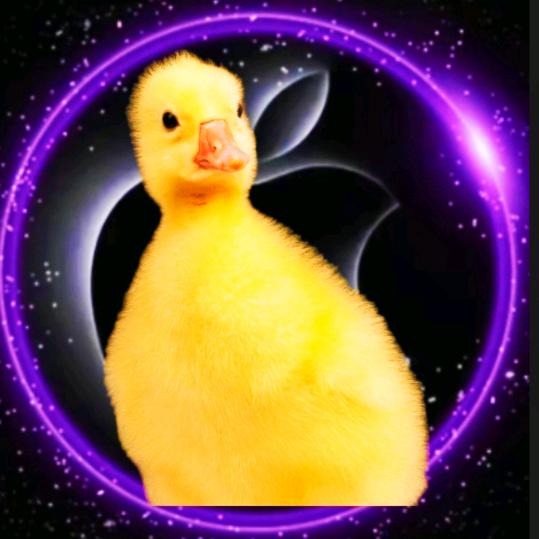 🐇⁰¹.懂☂*歌..🍏