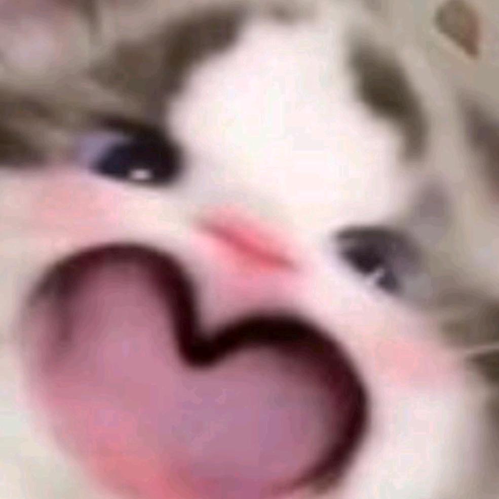 彩虹🌈