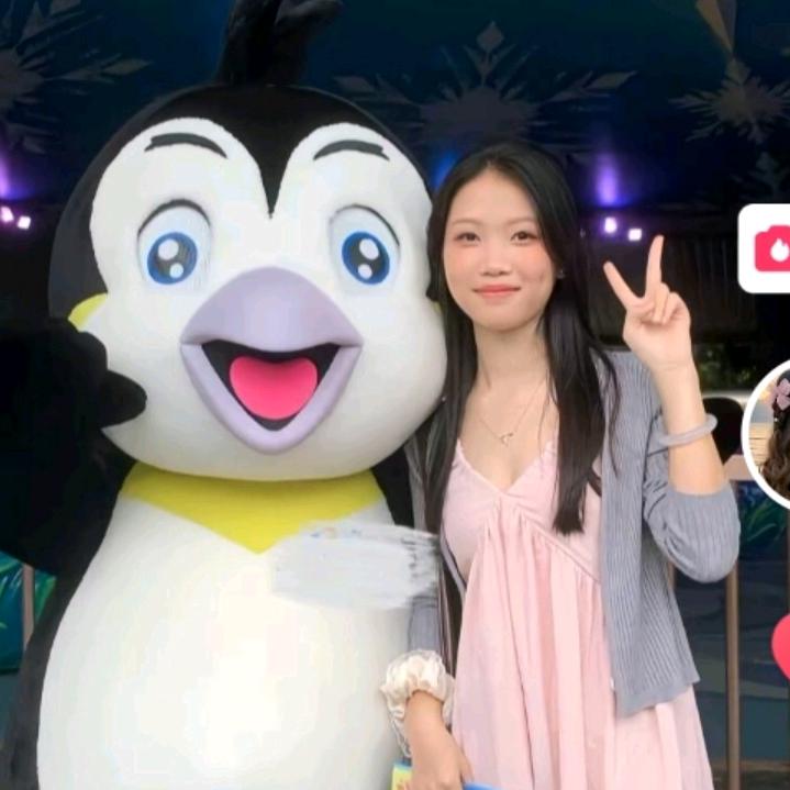 裴总