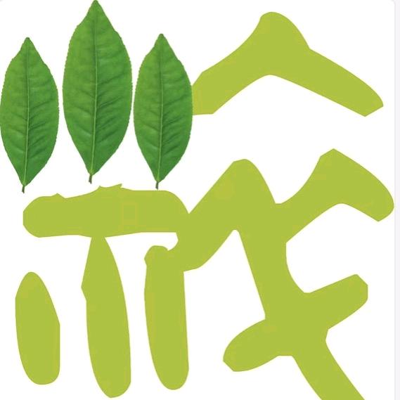 湖州雨前春茶场  非量产 作坊茶