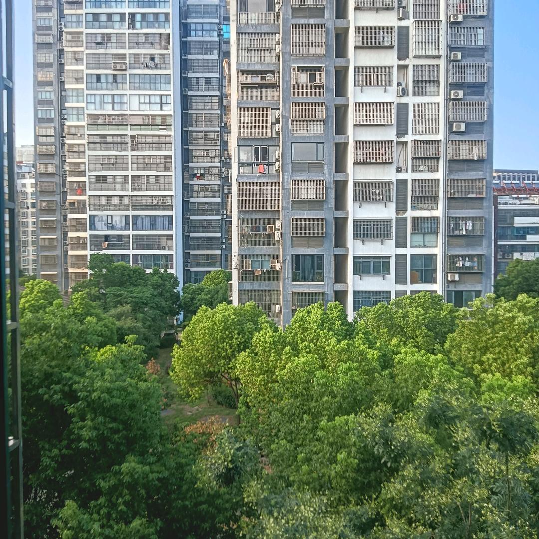 为了谁