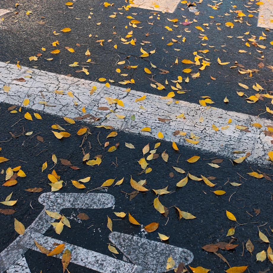 地坛的海不是海