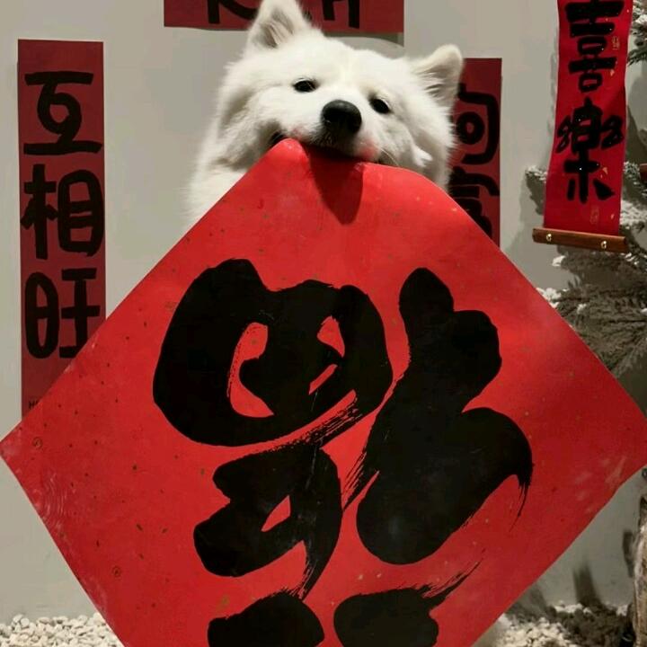 我的回忆
