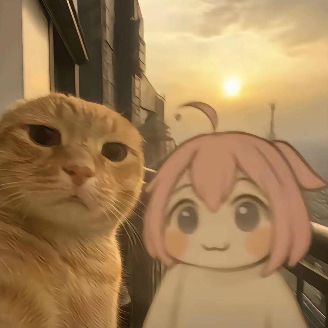 满天红:“(首播》