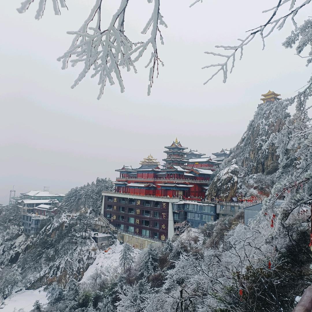 雾里探花