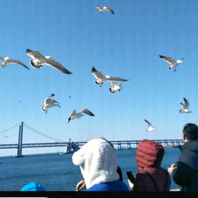 智（幸福人生）