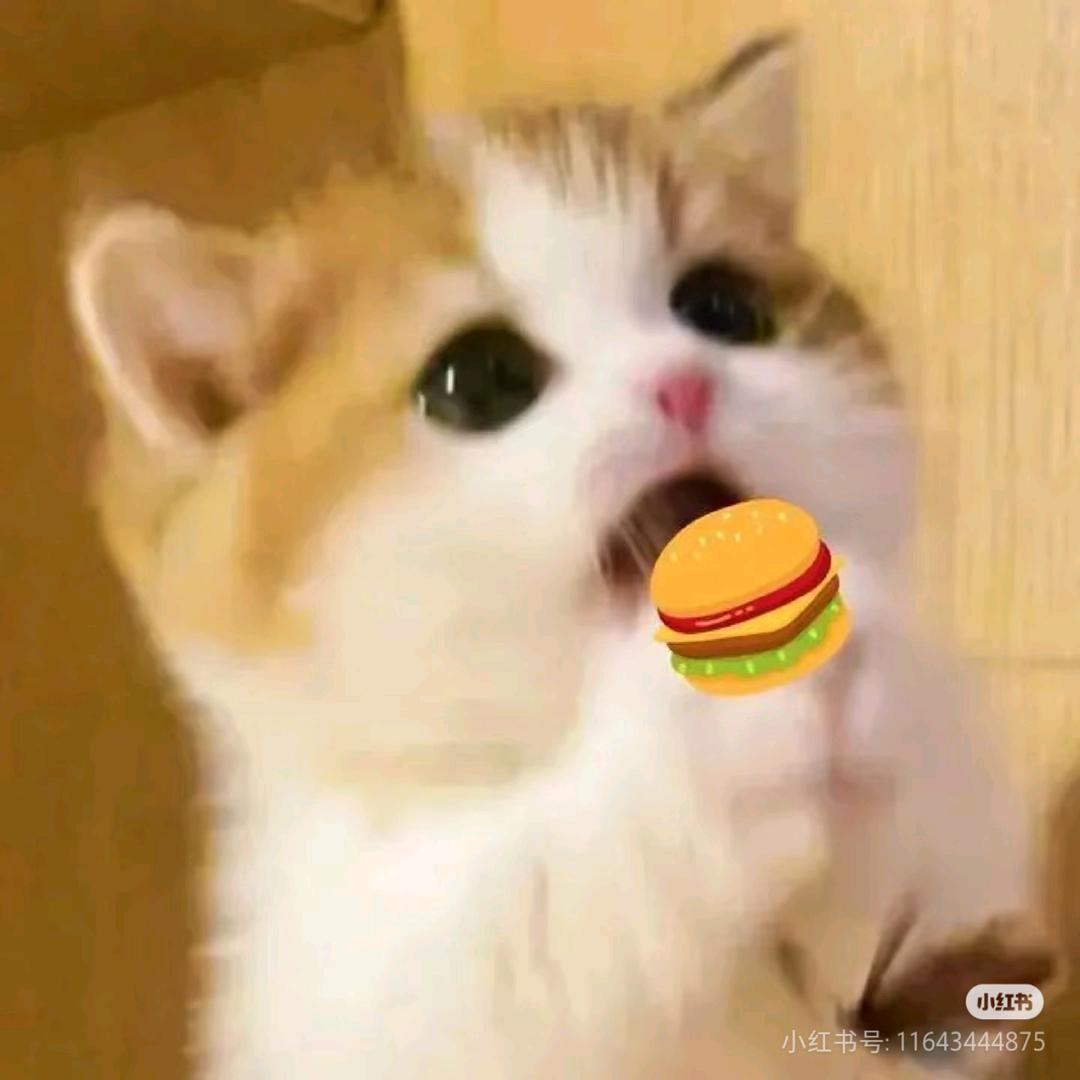 贴贴