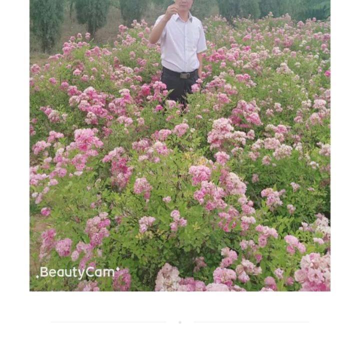 诚信商贸有限公司