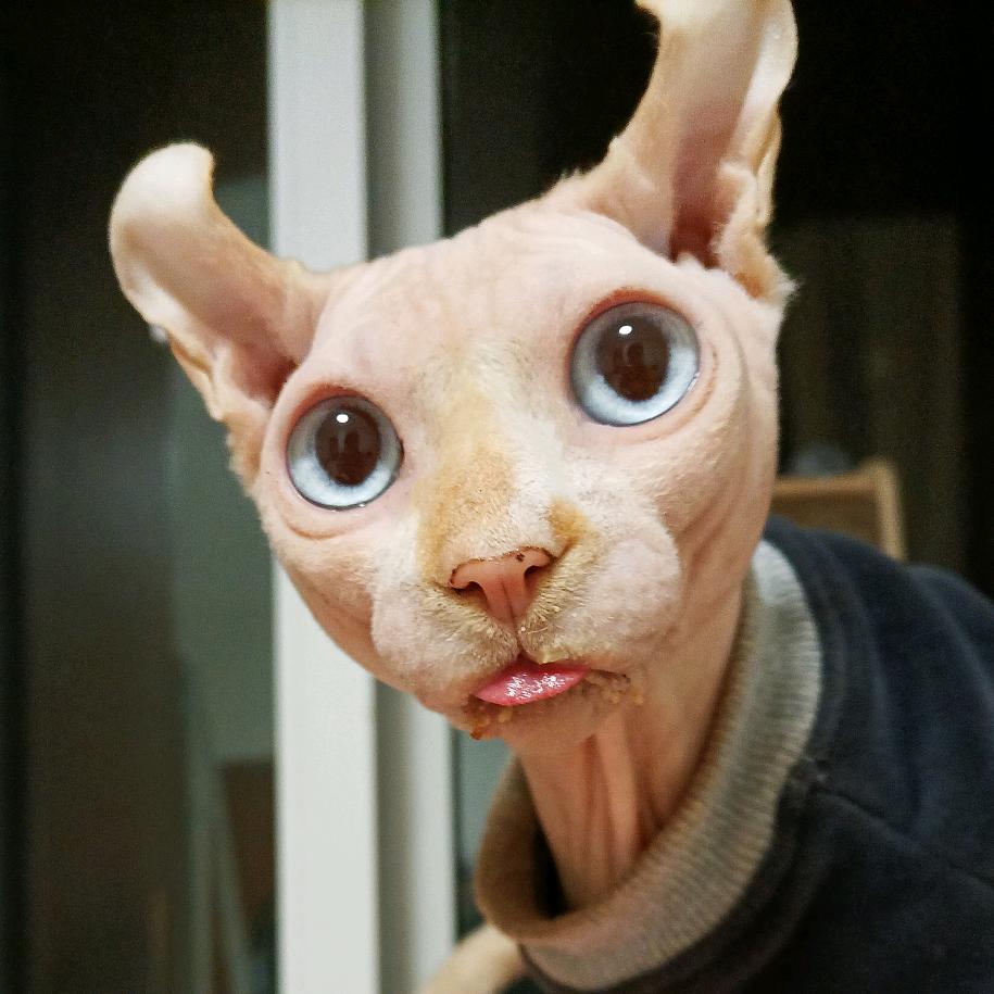 王权贵