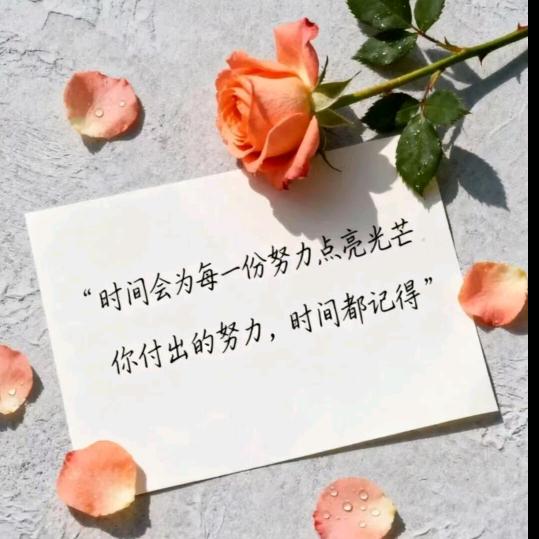 心若向阳