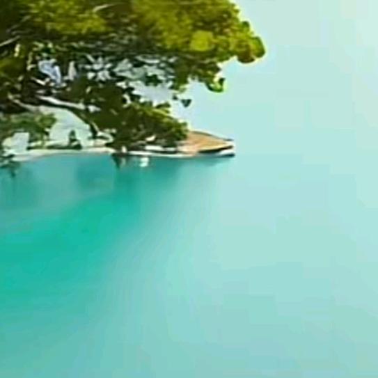 海艺