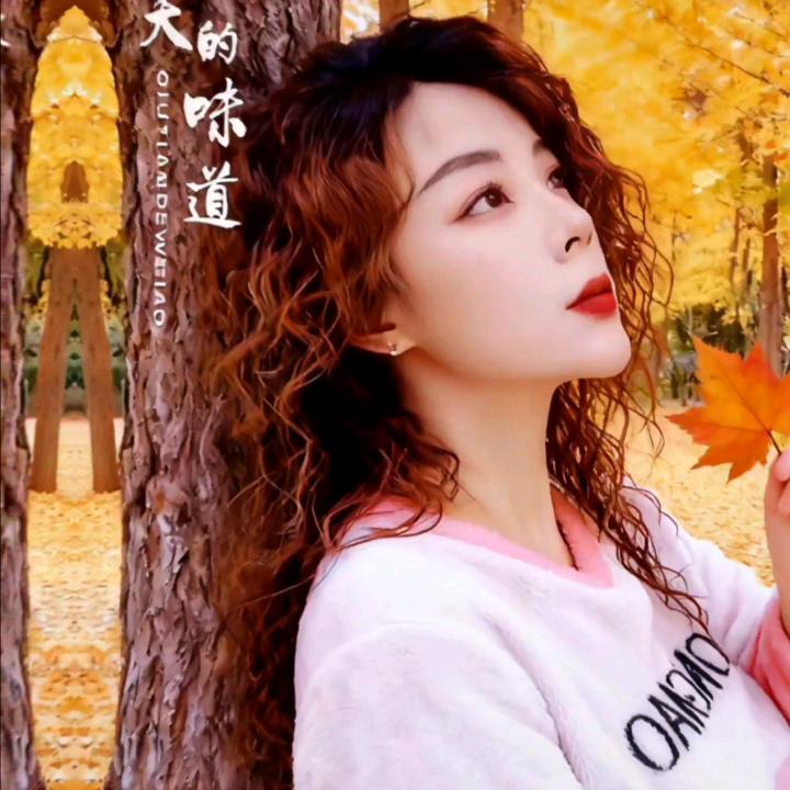 西安悦升贸易有限公司