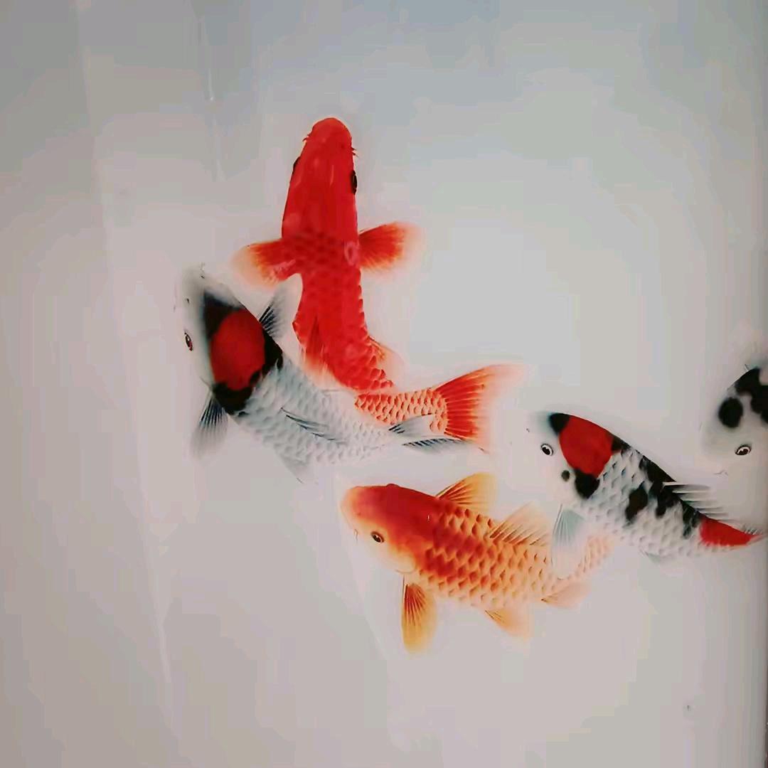 哥不是当年的哥了啊！