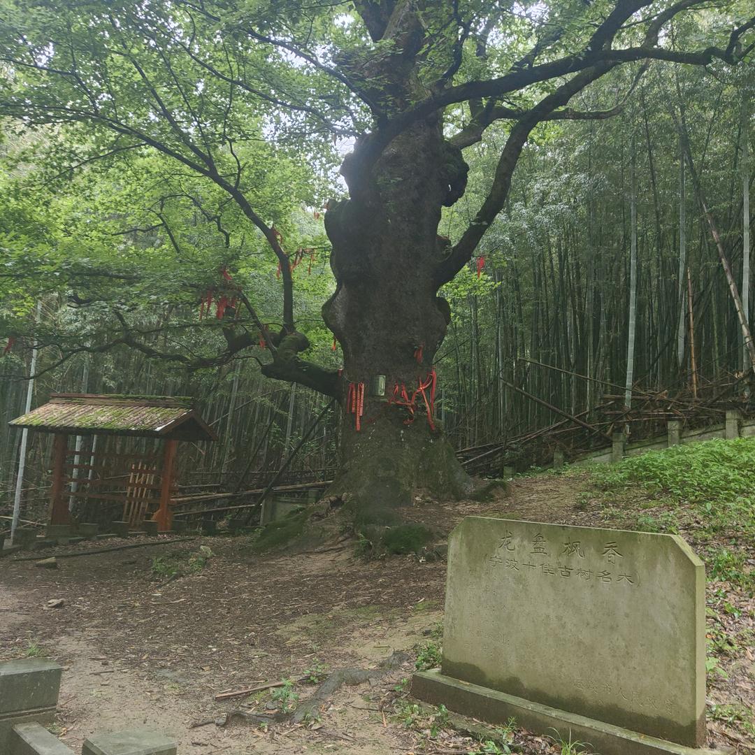 努力奋斗