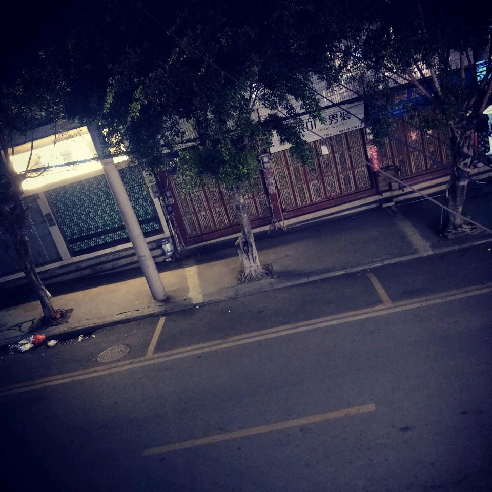 夜晚的路