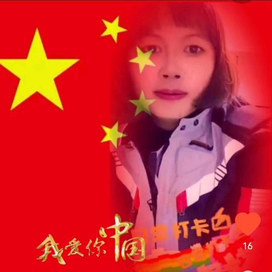 万物森林