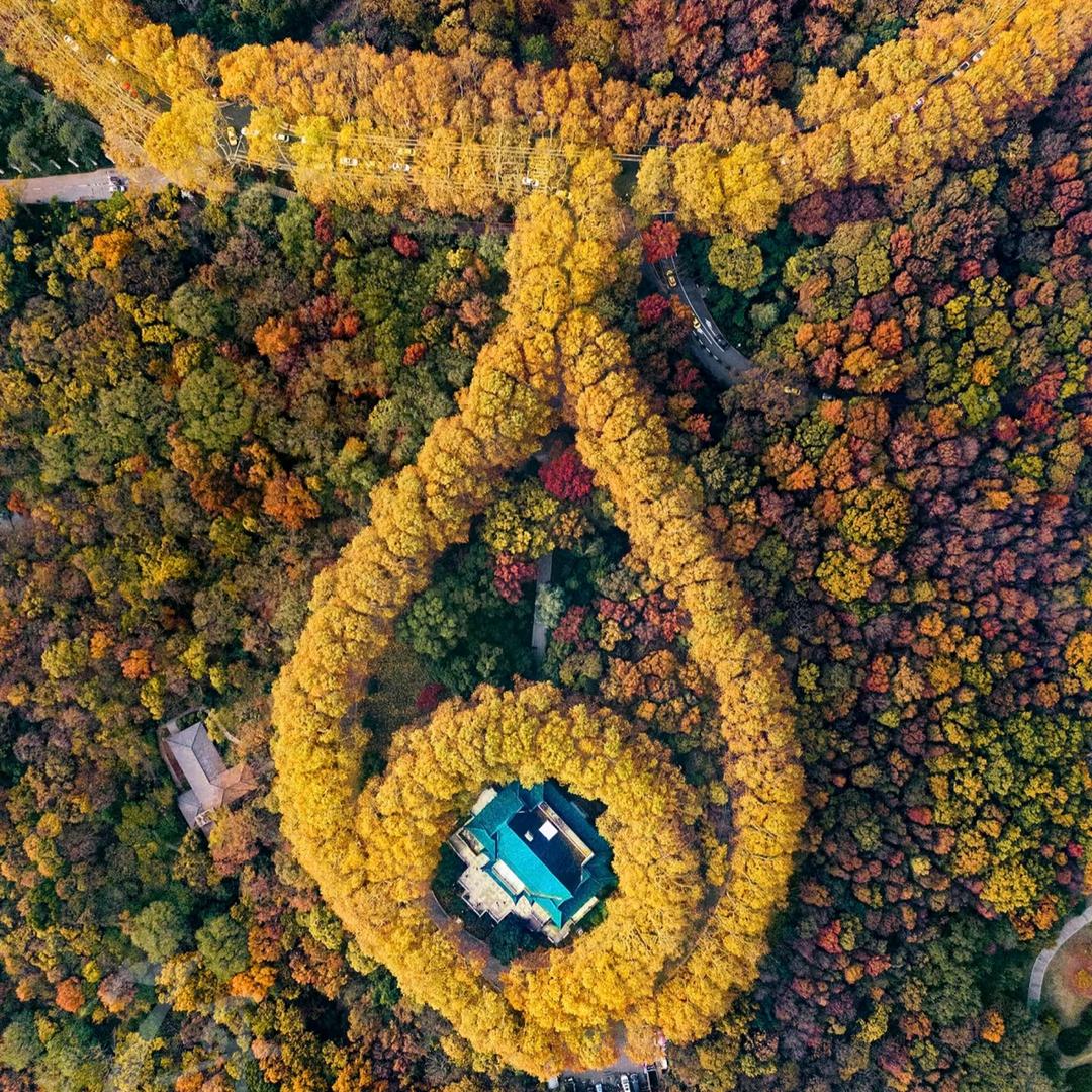 ღ᭄ꦿ࿐娜样精彩꧔ꦿএ᭄ᥫᩣ+ᥫᩣ໌້ᮨ