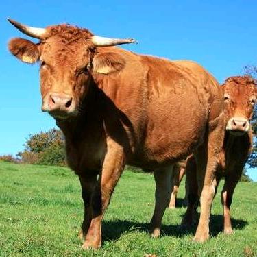 牧小美畜牧养殖器具