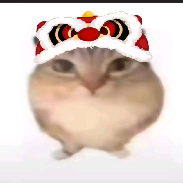 皮皮村长