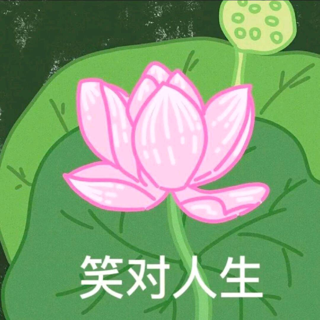 淮雨