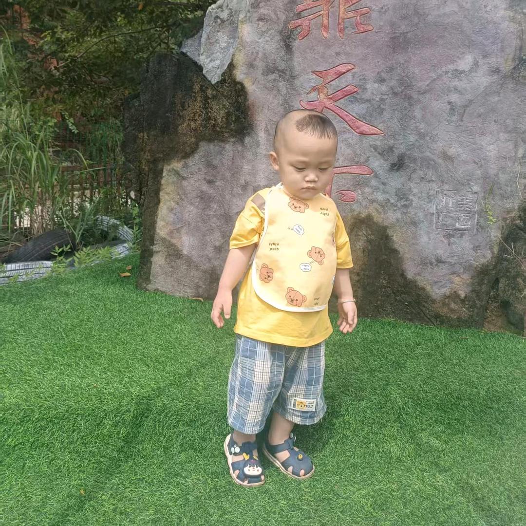 遗忘的夏天