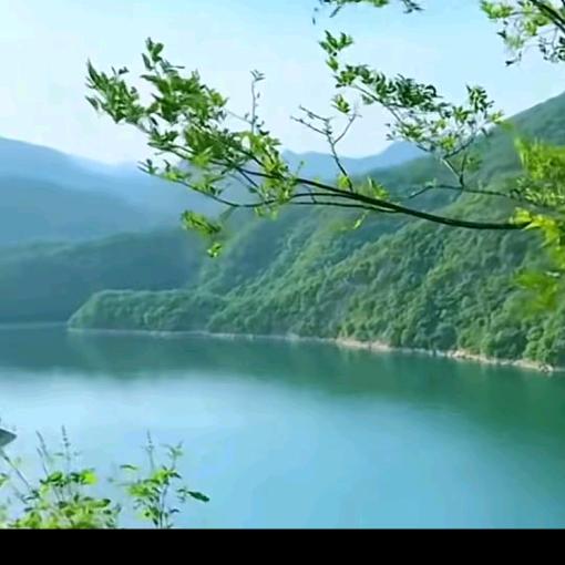 一斋江湖