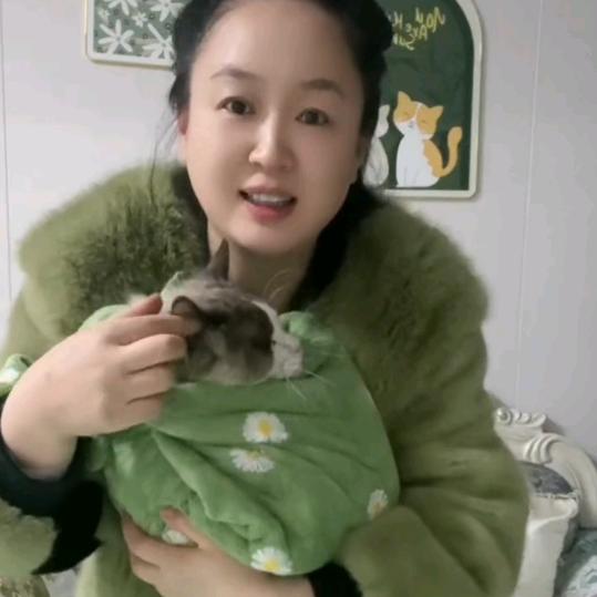 春姐的猫（院长他姐）