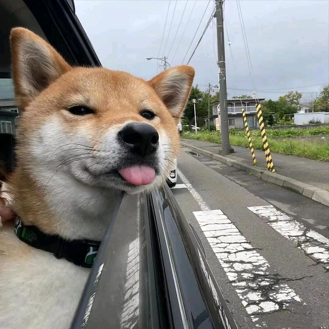 Feiero