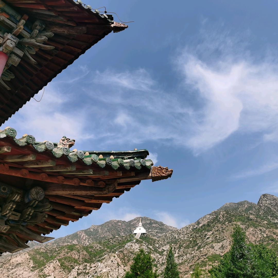 山山水水与小比熊