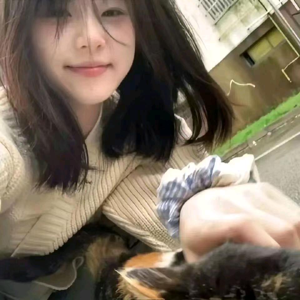 王 岚