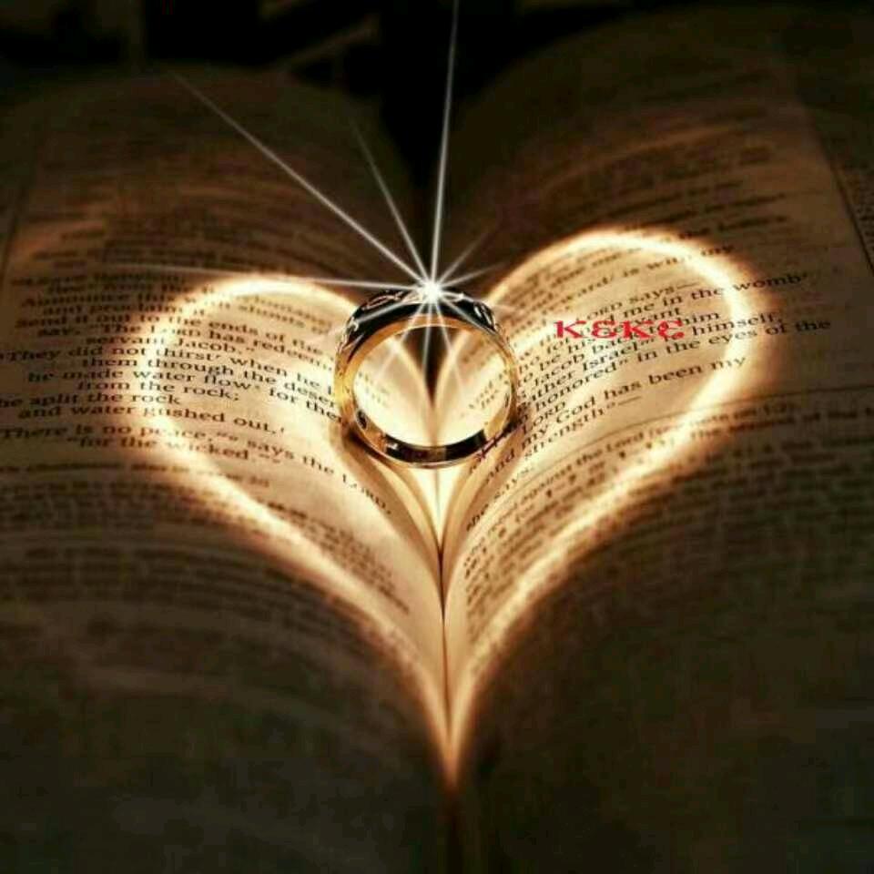 🌈杏任小饼干❤Yᗜangᥫᩣ