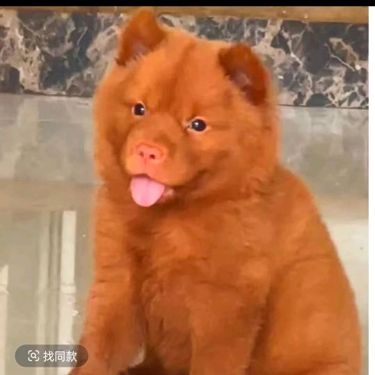 孟