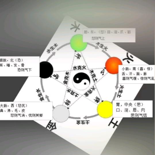 新民药师【会写POP海报的药师】