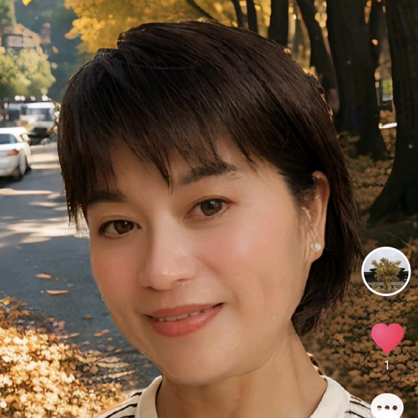 一帆风顺