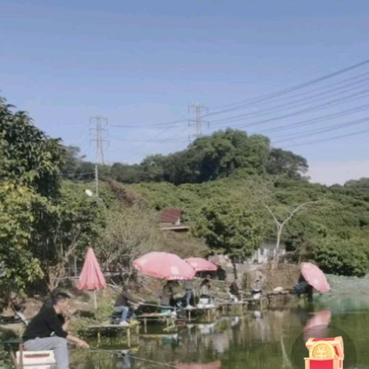 春夏秋冬