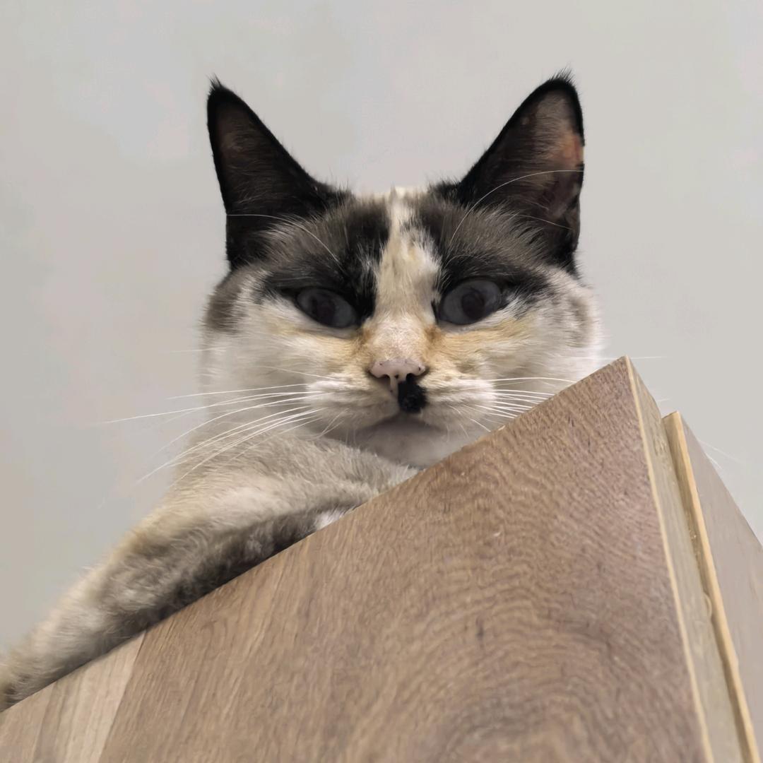 三两