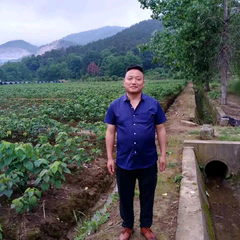 抖音文化馆