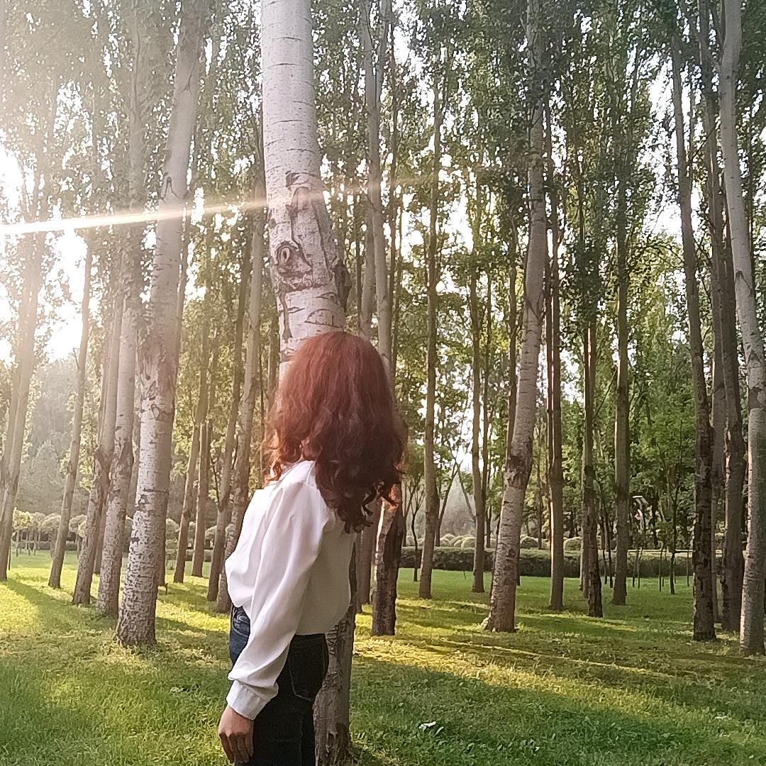 做自己的太阳👻