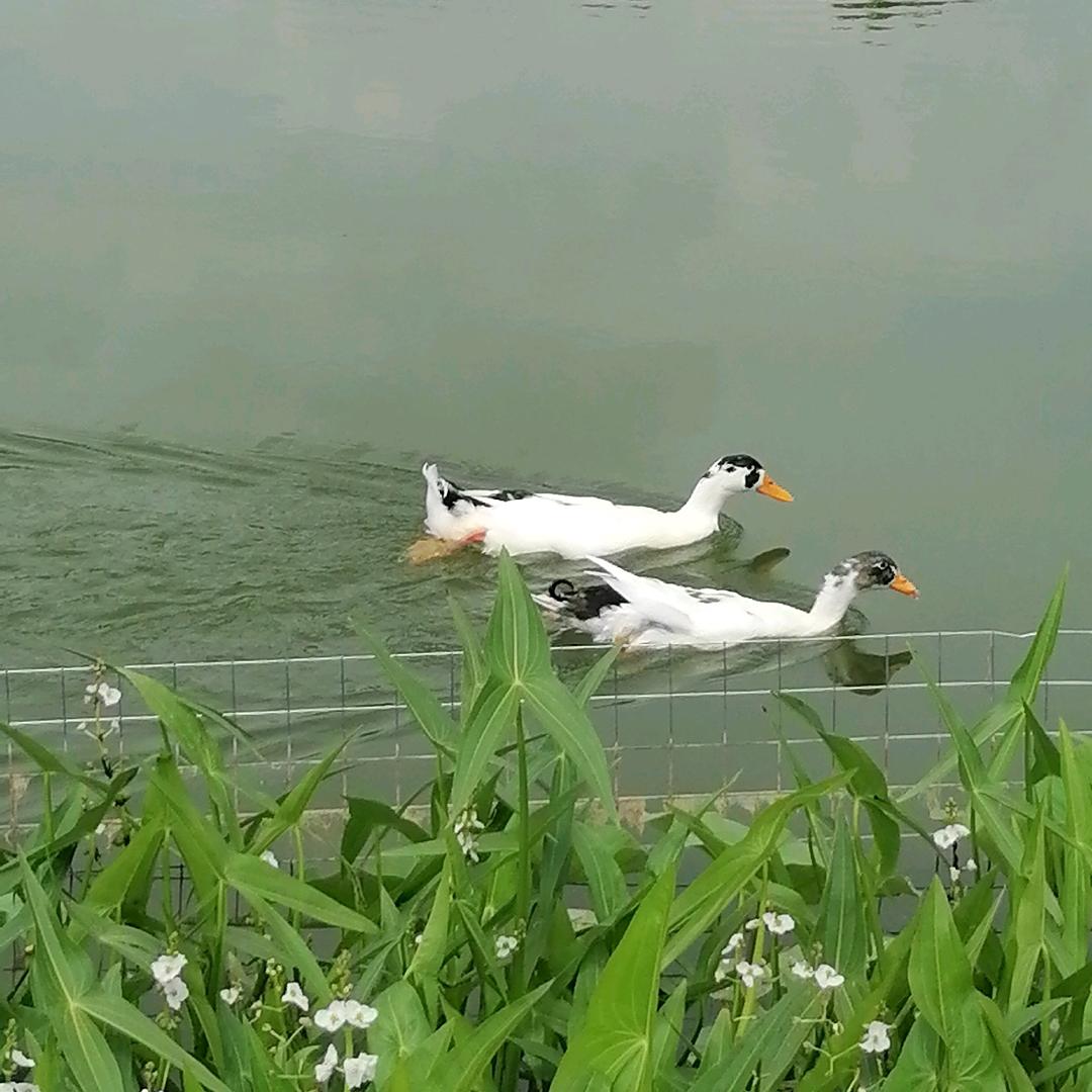 @风雨无阻