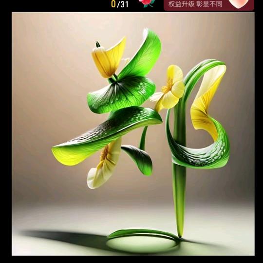 摆地摊的生活