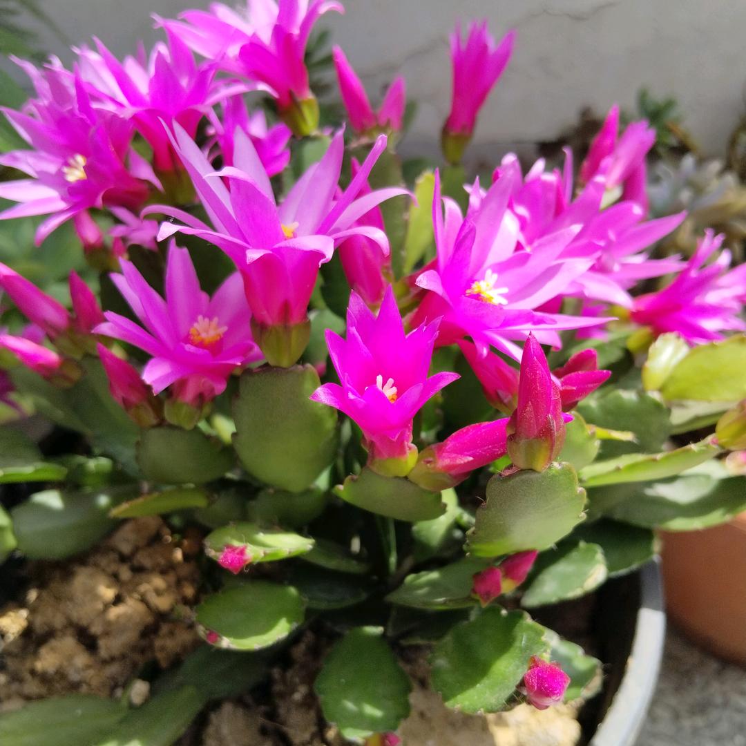 ❤❤💔今生有你