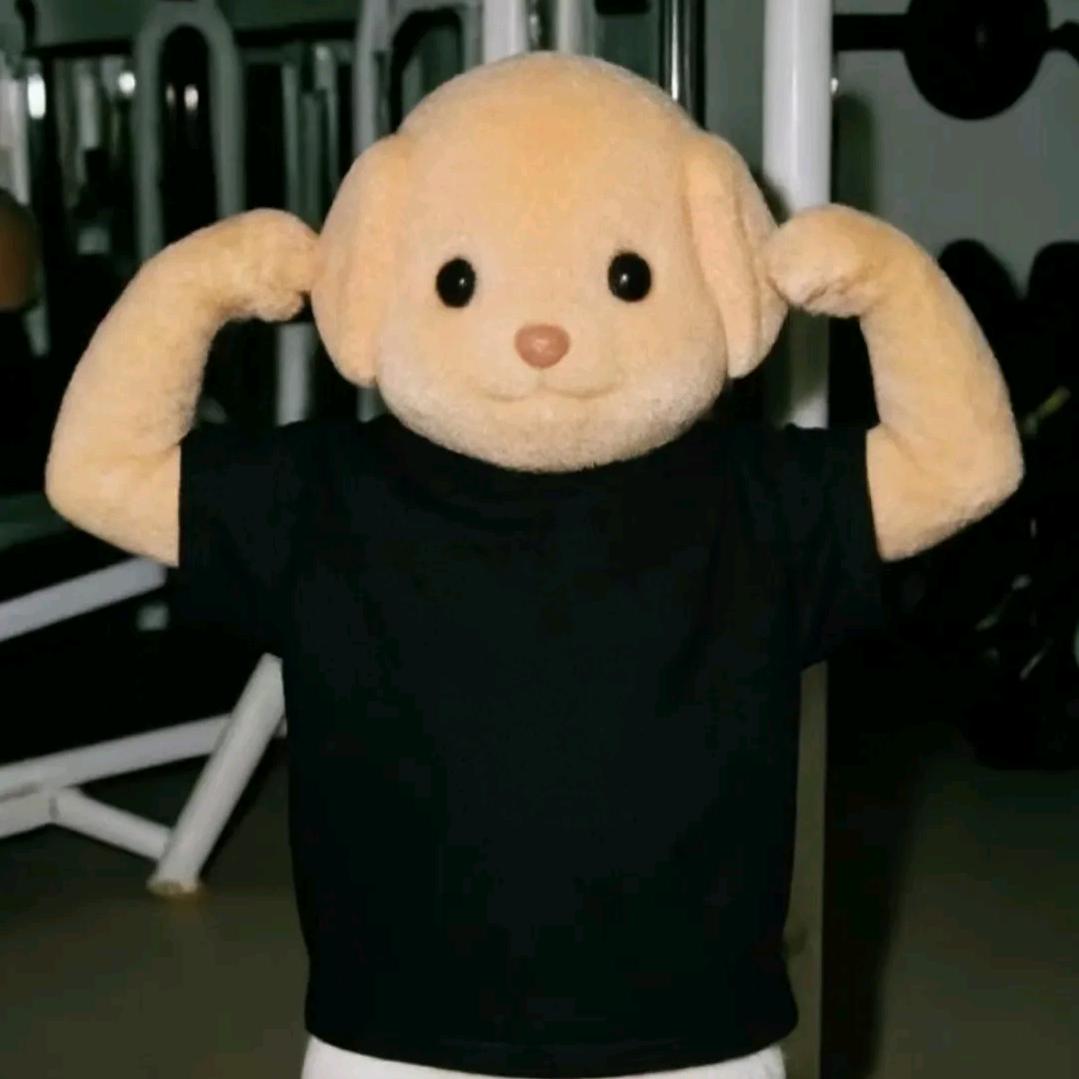 懒
