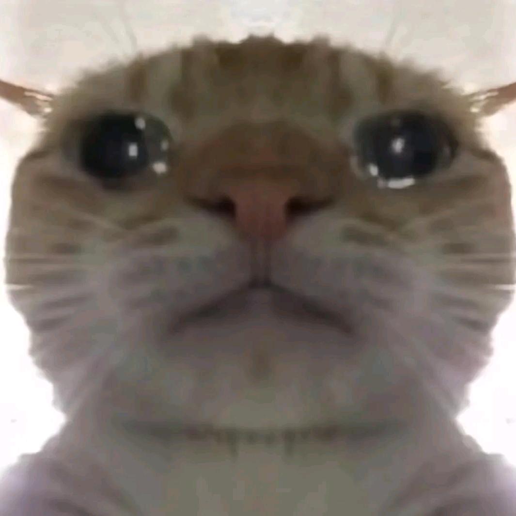uuuu